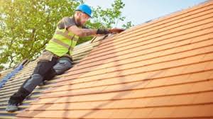 Best Skylight Installation and Repair  in Southern Shores, NC